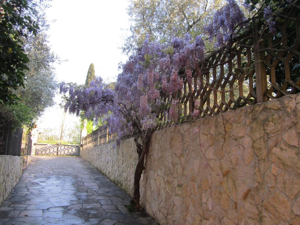 B&B Al Calcandola Sarzana Exterior foto